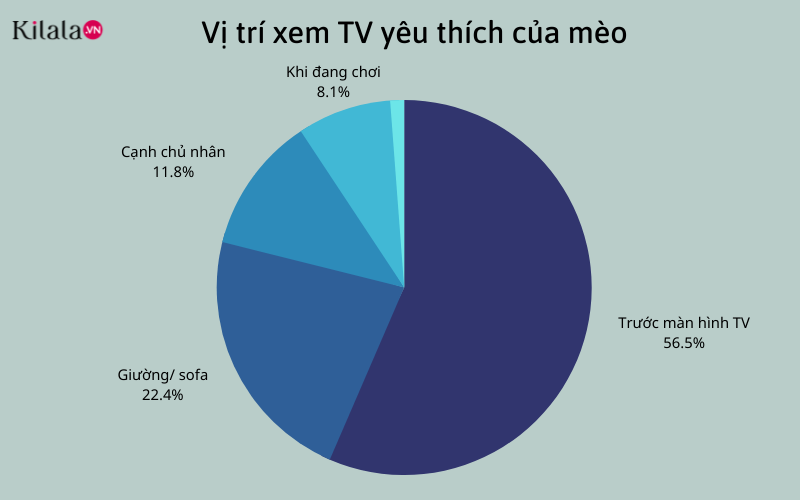 bxh chương trình yêu thích của mèo bxh chương trình yêu thích của mèo